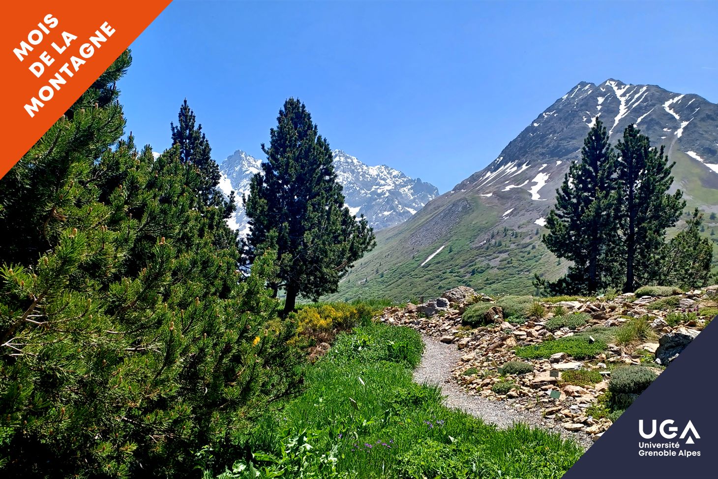 Visuel UGA Mois de la montagne