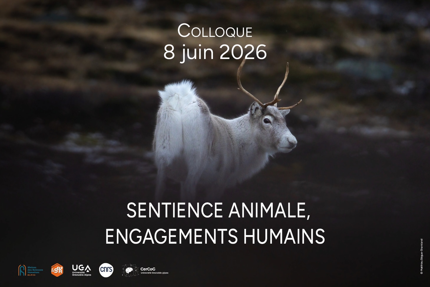 Visuel Colloque Sentience
