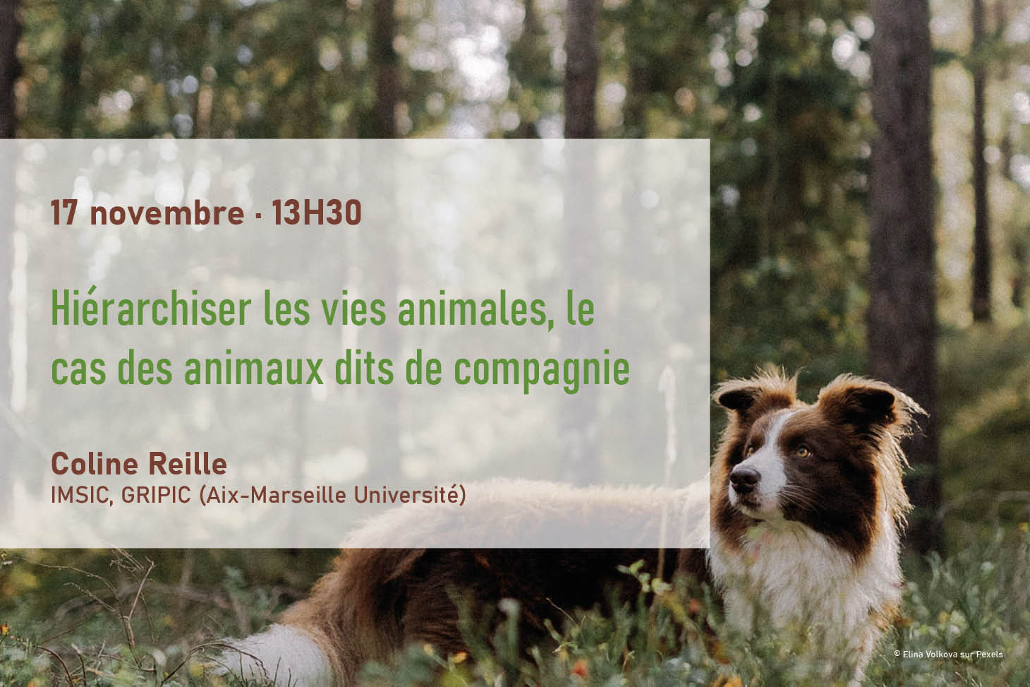 Banniere SSC 17 novembre 2026