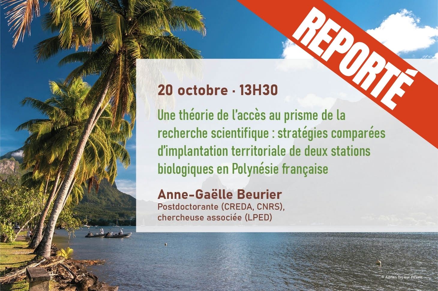 Banniere SSC Report 20 octobre 2026